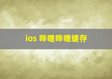 ios 哔哩哔哩缓存